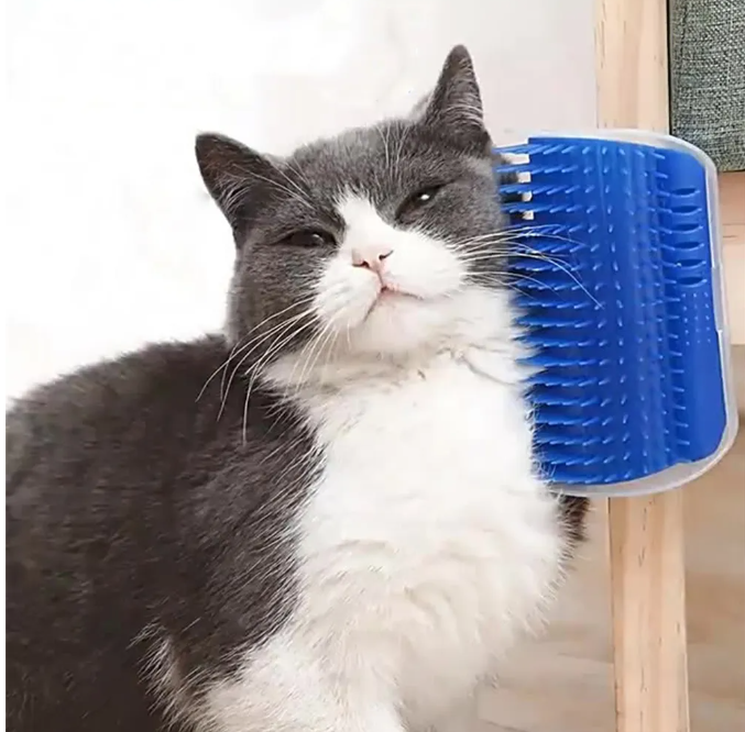 Catnip & Cat Scratcher Combo, Perie Masaj Pisici, Corner Self-Grooming Brush